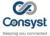 Consyst Limited